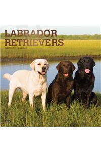 Labrador Retrievers 2020 Square Foil