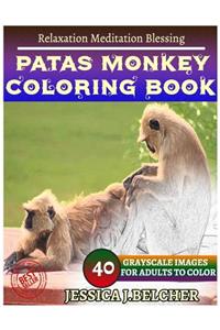 PATAS MONKEY Coloring Books