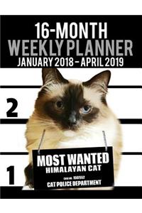 2018-2019 Weekly Planner - Most Wanted Himalayan Cat