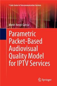 Parametric Packet-Based Audiovisual Quality Model for Iptv Services