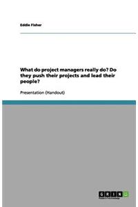 What do project managers really do? Do they push their projects and lead their people?