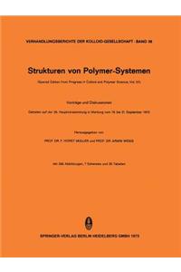 Strukturen Von Polymer-Systemen