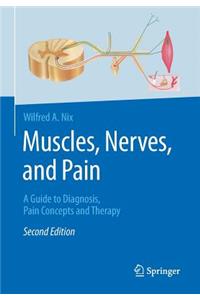 Muscles, Nerves, and Pain