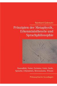 Prinzipien der Metaphysik, Erkenntnistheorie und Sprachphilosophie