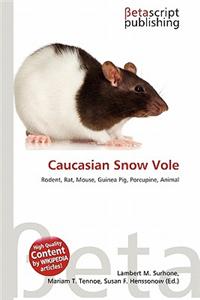 Caucasian Snow Vole