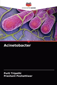 Acinetobacter