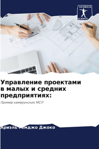 Управление проектами в малых и средних прk