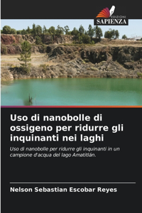 Uso di nanobolle di ossigeno per ridurre gli inquinanti nei laghi