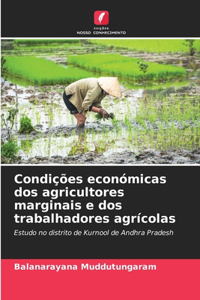 Condições económicas dos agricultores marginais e dos trabalhadores agrícolas