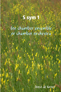 S sym 1 for chamber ensemble or chamber orchestra