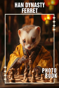 Han Dynasty Ferret Photo Book