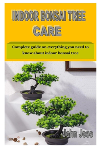 Indoor Bonsai Tree Care