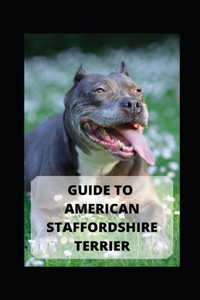 Guide to American Staffordshire Terrier