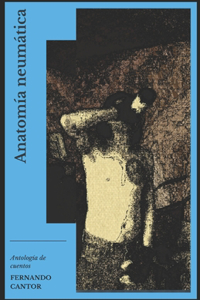 Anatomía neumática