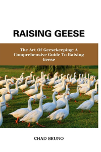 Raising Geese
