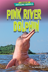 Pink River Dolphin