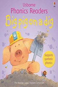 Big Pig On A Dig Phonics Reader