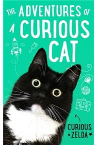 The Adventures of a Curious Cat