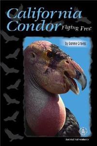 California Condor