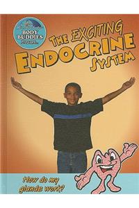 Exciting Endocrine System