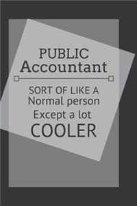 Public accountant sort of like a normal person except a lot cooler
