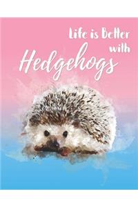 Life is Better with Hedgehogs