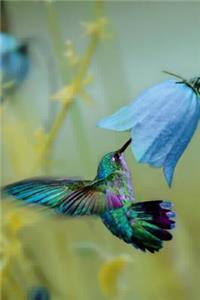 Lovely Hummingbird and a Blue Flower