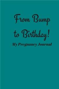 From Bump to Birthday! My Pregnancy Journal