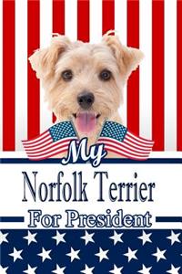 My Norfolk Terrier for President