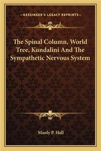 The Spinal Column, World Tree, Kundalini And The Sympathetic Nervous System