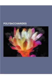 Polysaccharides: Alginic Acid, Alguronic Acid, Alpha-Cyclodextrin, Alpha Glucan, Amylopectin, Amylose, Arabinoxylan, Beta-Glucan, Callo