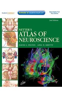 Netter's Atlas of Neuroscience