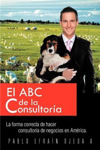 ABC de La Consultoria