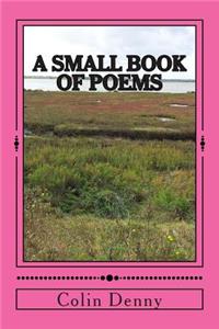 small book of poems