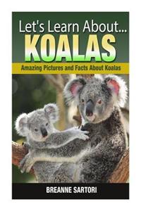 Koalas: Amazing Picture and Facts about Koalas