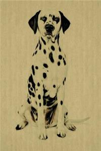 Dalmatian