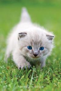 Password Notebook: Medium-Size Internet Address and Password Logbook / Journal / Diary - Blue-Eyed Kitten Cover