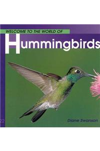 Welcome to the World of Hummingbirds