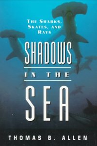 Shadows in the Sea