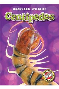 Centipedes