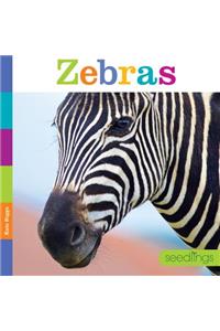 Seedlings Zebras