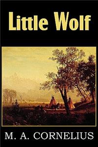 Little Wolf, a Tale of the Western Frontier