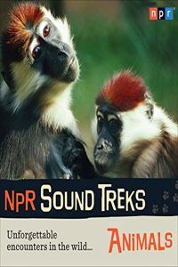 NPR Sound Treks: Animals Lib/E