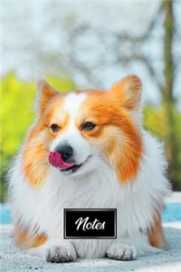 Pembroke Welsh Corgis Dog Pup Puppy Doggie Notebook Bullet Journal Diary Composition Book Notepad - Lying in Park