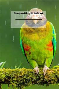 Composition Notebook