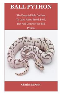 Ball Python