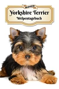 2020 Yorkshire Terrier Welpentagebuch