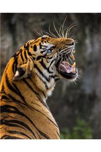 Roaring Tiger Dot Grid Bullet Journal: 150 Pages 8 X 10 Inches