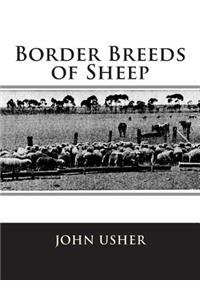 Border Breeds of Sheep
