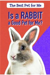 Is a Rabbit a Good Pet for Me?